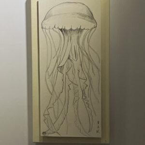 Just a Jellyfish