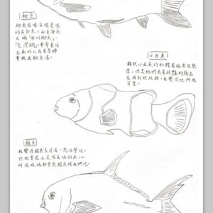 魚類速寫