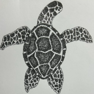 海龜點描畫