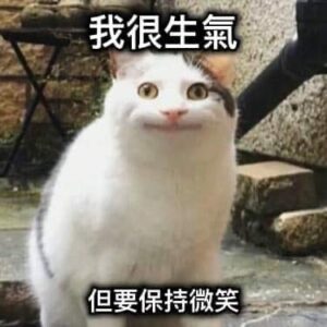 對爛事冷靜魔法卡