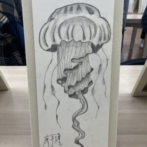 水母素描