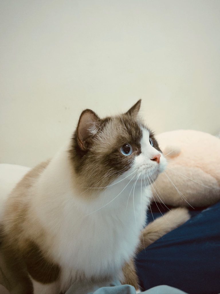 7ADD3F2C-4F93-4F33-8EF8-4AE6C3915B18