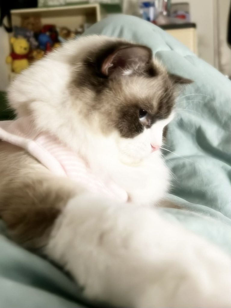 99CFF852-FC6E-4AF9-8EA9-96B9CA0FCE51