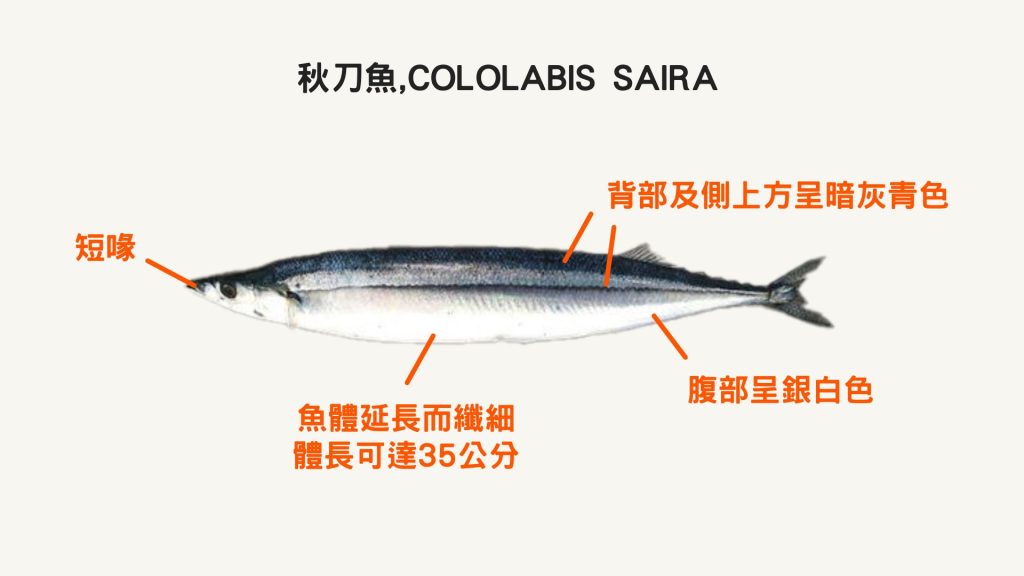 基礎設計(二)第二次發表