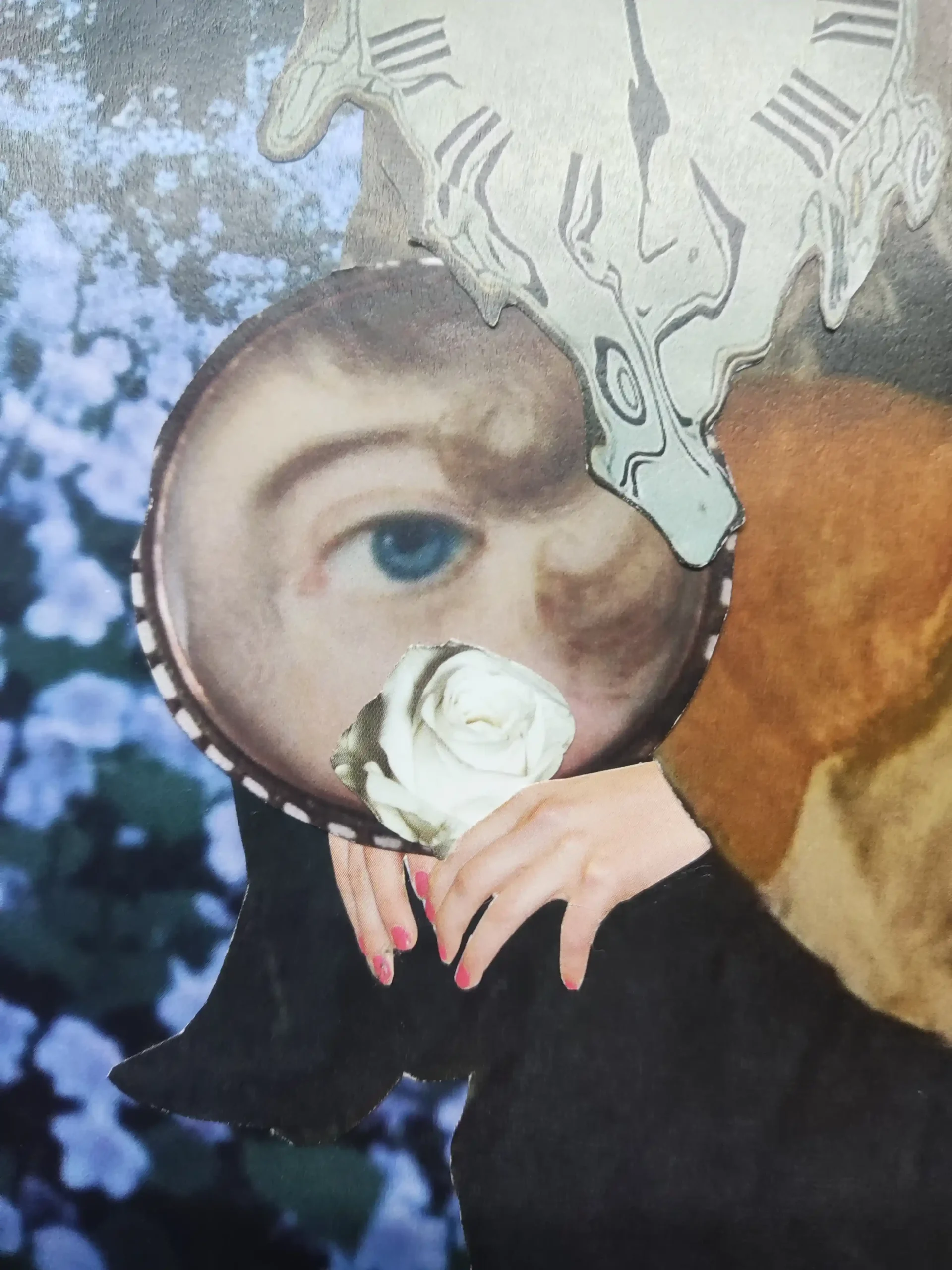 《Gaze•Floatime•Solitude》:圖片 2