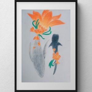 鯨魚x君子蘭插畫